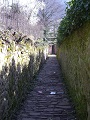 Heidelberg